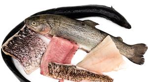 Im Sortiment von Knuspr gibt es auch Produkte regionaler Hersteller, zum Beispiel Fisch aus der Havel von der Fischerei Lechler aus Schwielowsee.