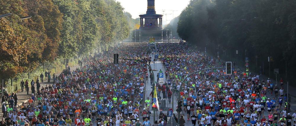Rund 44.000 Läufer nehmen am diesjährigen Berlin-Marathon teil.