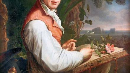 Pflanzenglück. Alexander von Humboldt beim Botanisieren – dargestellt auf einem Gemälde von Friedrich Georg Weitsch aus dem Jahr 1806. 