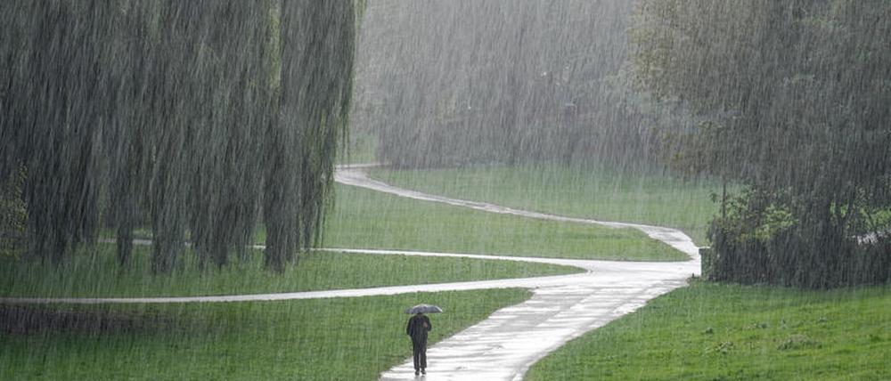 Von solchem Regen träumen Naturfreunde. In Berlin fehlt noch mehr als die Hälfte des üblichen Niederschlages.
