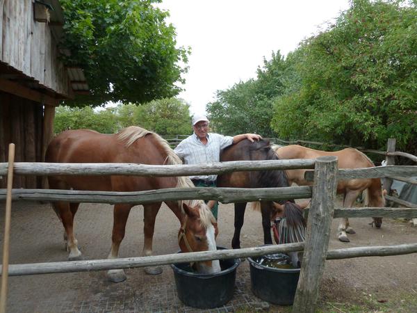 Bauer Frank Thum nutzt den Urin seiner Pferde zur Gewinnung von Terra Preta.