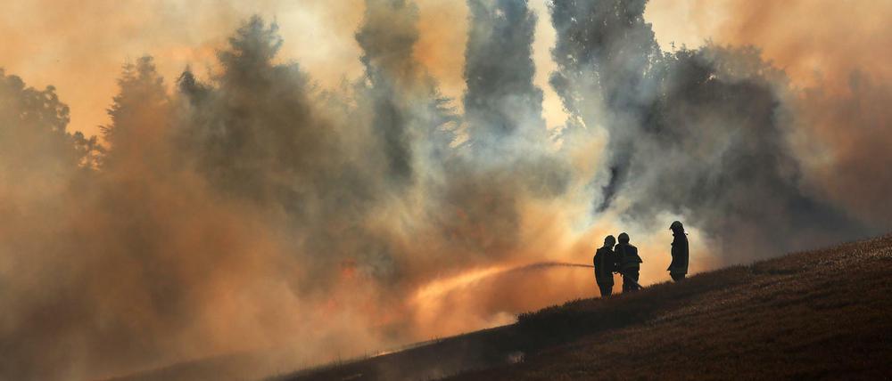 Feuerwehrleute löschen Anfang Juli in Mecklenburg-Vorpommern ein Getreidefeld, das in Flammen steht. 