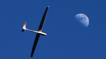 Ein Segelflugzeug fliegt nahe Oberbeuren (Schwaben) am strahlend blauem Himmel. (Symbolbild)