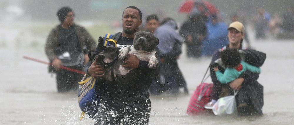 Isiah Courtney trägt seinen Hund Bruce in Beaumont Place bei Houston durchs Wasser.