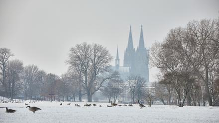 Die weiße Stille trügt – in Köln steppt auch im Winter der Bär.