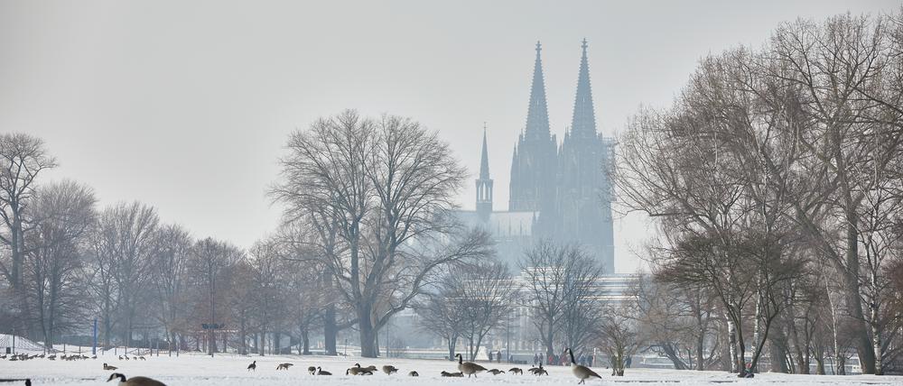 Die weiße Stille trügt – in Köln steppt auch im Winter der Bär.