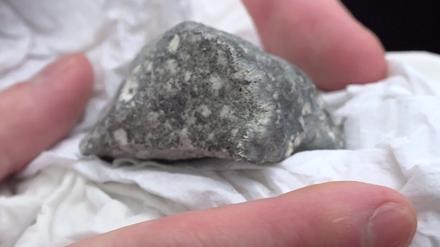 Ein mutmaßliches Meteoritenteil liegt in einem Papiertaschentuch. Das Bruchstück wurde von vier polnischen Meteortitensuchern auf einem Feld bei Ribbeck gefunden.