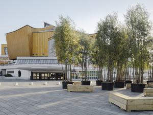 Kulturforum mit Bäumen.