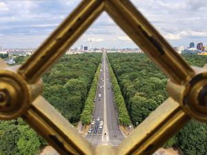 Berlin braucht Bäume für den Klimaschutz – aber wie viel Geld darf dafür ausgegeben werden, ohne andere wichtige Zukunftsinvestitionen zu vernachlässigen?