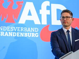 René Springer, Landesvorsitzender der Brandenburger AfD.