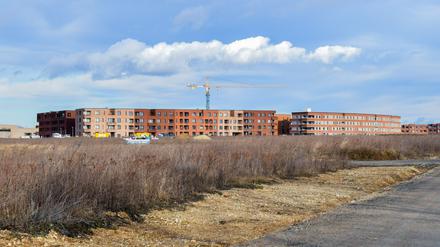 Ein Baukran steht im Neubaugebiet Kronsrode im Süden der Landeshauptstadt.