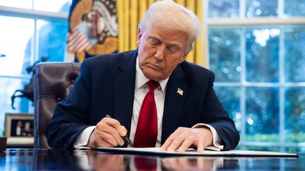 Nicht nur neue Zölle ordnet US-Präsident Trump an, seine Politik, bestimmte Begriffe und Forschungsthemen auf den Index zu setzen, führt auch zu Einschränkungen von Wissenssammlungen.