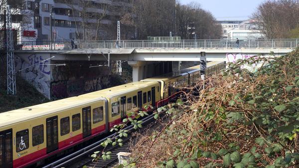 Die Pappelalleebrücke in Berlin-Prenzlauer Berg.