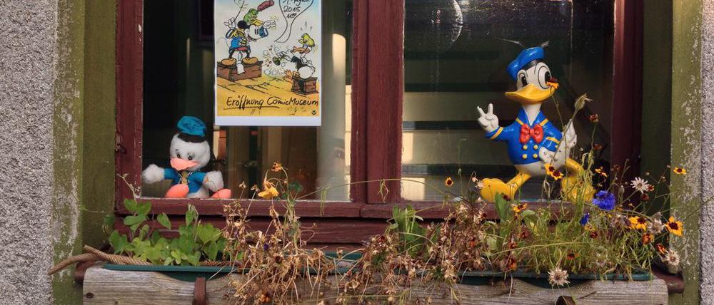 Fenster eines Hauses in Schwarzenbach an der Saale.