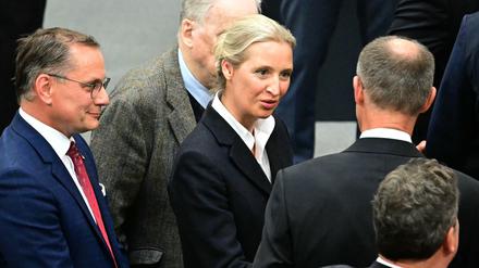 AfD-Chefin Alice Weidel gratuliert Kanzler Friedrich Merz.