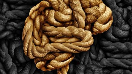 Die Schädigungen sind bei MS auch im Gehirn erkennbar.