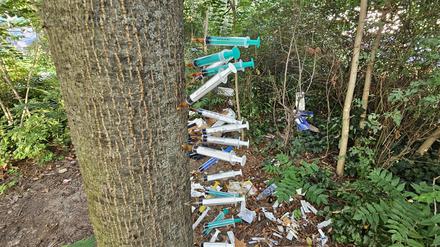 Der Spritzen-Baum von Kreuzberg: In diesen Stamm haben die Süchtigen massenhaft Spritzen gesteckt.