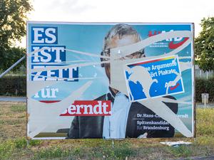 AfD-Wahlplakat zur Landtagswahlen in Brandenburg.