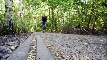 Das Schöneberger Südgelände ist einer der Parks, die die Grün Berlin zur Anpassung an den Klimawandel umgesetzt hat - mit Investitionsmitteln des Landes Berlin.