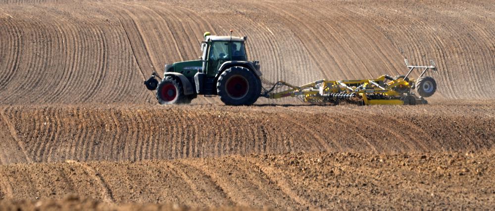 Uckermark GER, Deutschland, 20251003,Uckermark, Traktor auf dem Feld *** Uckermark GER, Germany, 20251003,Uckermark, Tractor in the field