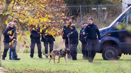 Ein Leichenspürhund im Einsatz im Landkreis Oder-Spree.