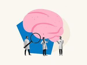 Mediziner begutachten ein Gehirn (Illustration). Das Geschlecht prägt auch psychische Erkrankungen.