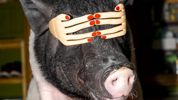 Feng Li, zur Ausstellung "White Nights in Wonderland", Fotografiska Berlin