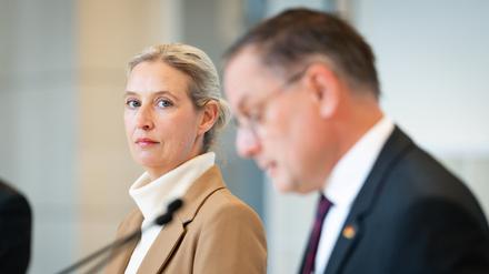Die AfD-Spitze: Alice Weidel (links) blickt zu Tino Chrupalla.