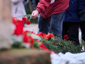 Ein Mann legt rote Nelken an die Gedenkstätte der Sozialisten. Zur Gedenkveranstaltung für Rosa Luxemburg und Karl Liebknecht kommen Parteimitglieder der Linken traditionell zum Zentralfriedhof Berlin-Friedrichsfelde. (Archivbild)