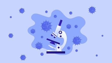 Infektionsforschung (Symbolbild)