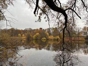 Blick vom Ufer des Obersees auf den Wasserturm