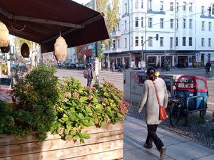 Hochbeet in Prenzlauer Berg