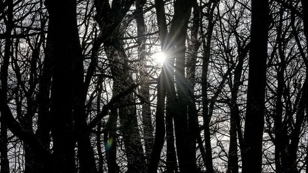 In Berlin und Brandenburg bleibt das Wetter mild.