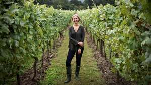 Cherie Spriggs Nyetimber Vines