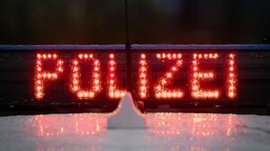 Eine französische Bulldogge verschwindet vor einem Supermarkt in Lübbenau im Spreewald. Die Polizei kann den Fall nach einem Hinweis lösen. (Symbolbild)