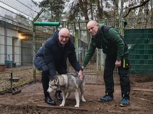 Dietmar Woidke (links) übergab eine Spende von 1000 Euro an das Tierheim, wo Tiere wie die Husky-Hündin Sura auf ein neues Zuhause warten.