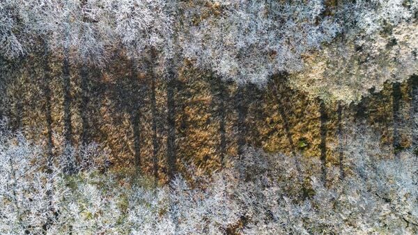 Zum Jahreswechsel wird es frostig und auch Schnee ist möglich. (Symbolbild)