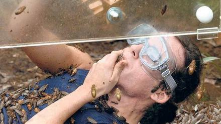 Igittigitt-Fernsehen.