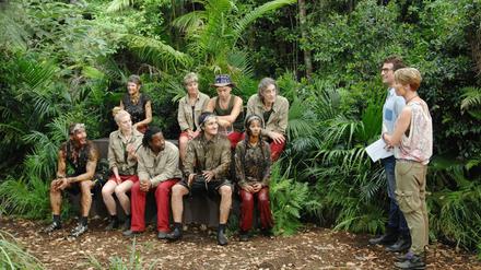 Mit kritischem Gesichtsausdruck verfolgt Winfried Glatzeder (auf der Bank oben rechts) die Ankündigungen von Sonja Zietlow und Daniel Hartwich.