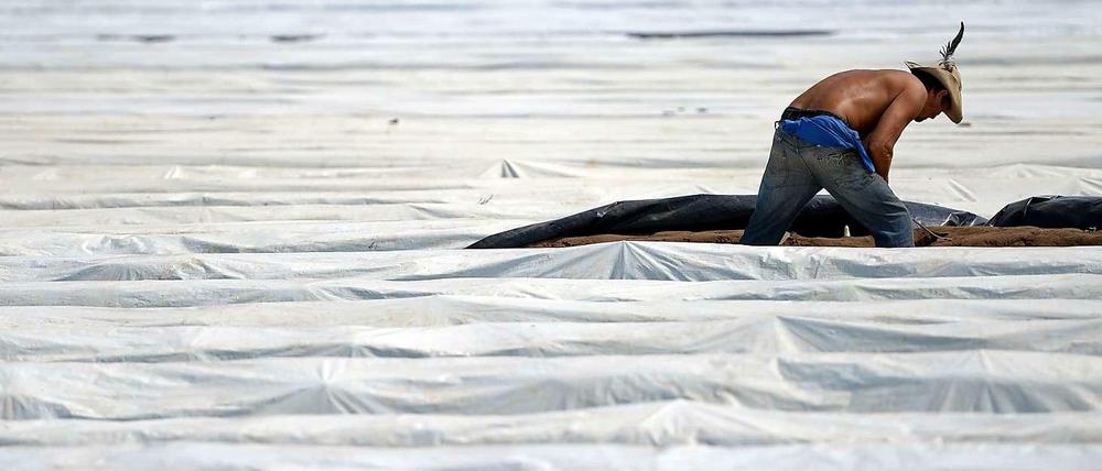 Viel Arbeit fürs Geld. Im Zuge der Arbeitsmarkt-Liberalisierung ist der Niedriglohn-Bereich in Deutschland stark gewachsen.