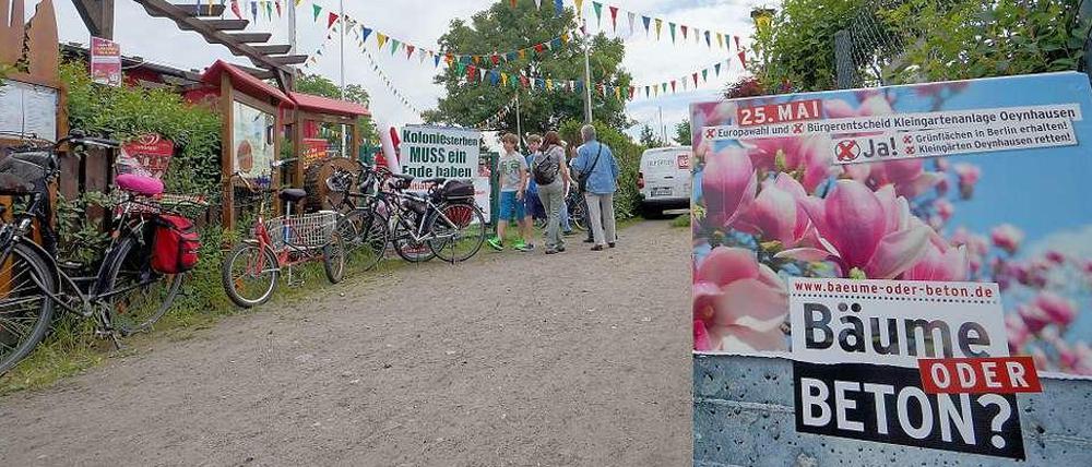 Gartenfest. Am Sonnabend wurde in der Kolonie noch einmal Stimmung für den Bürgerentscheid gemacht. Gäste sind auch am Sonntag zur Wahlparty willkommen.