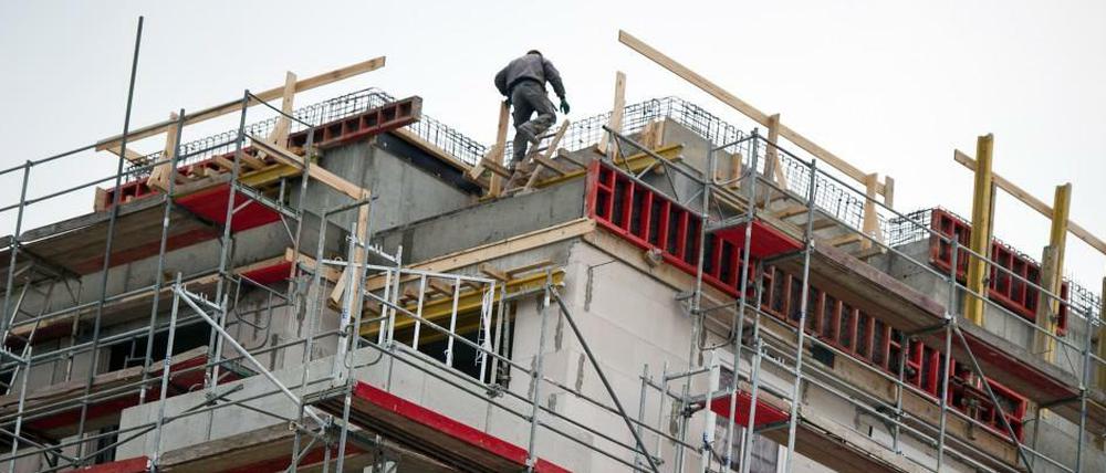 Immer weiter wachsen. Die Bevölkerung in Berlin nimmt zu, da braucht es neue Konzepte für Wohnungsbau.