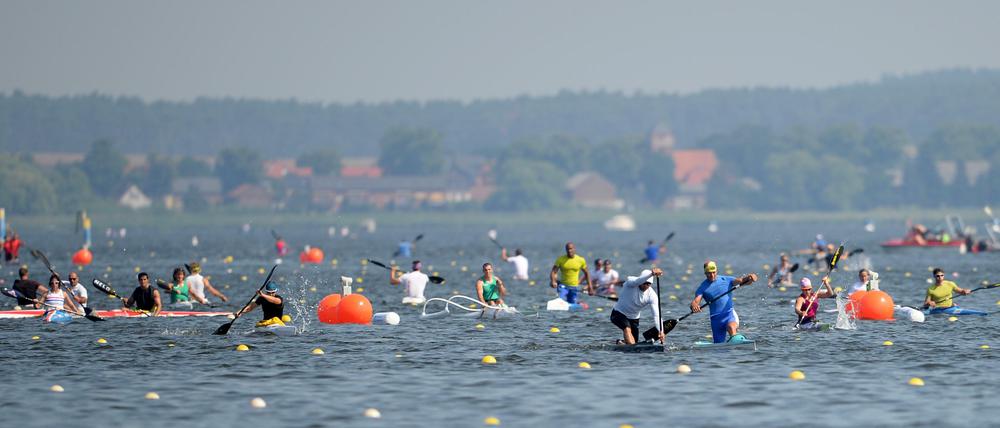 Sie trainieren schon für Olympia. Auf dem Beetzsee in Brandenburg/Havel findet seit Freitag die Kanu-EM statt. Hier könnten Olympische Wettkämpfe ausgetragen werden.