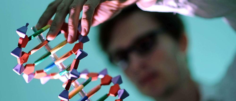 Hilfe im Labor. Bei der Kinderwunschbehandlung werden Ei- und Samenzelle im Labor miteinander verschmolzen. Bei dieser Gelegenheit könnte künftig auch ins Erbgut eingegriffen werden.