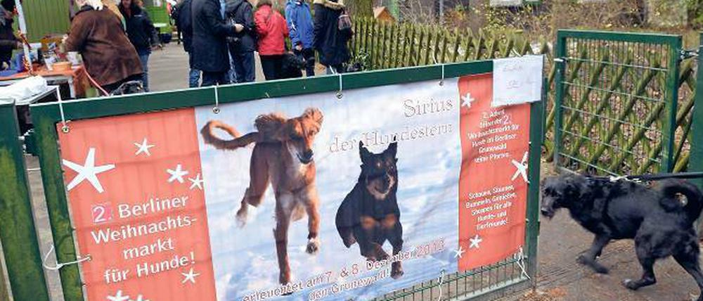 Whow! Da kommt selbst der Hund trotz des milden Wetters in Adventslaune. Die Pforte zum Hunde-Christmarkt.