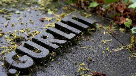 Das Grab von Hildebrand Gurlitt, dem Vater des verstorbenen Cornelius Gurlitt.