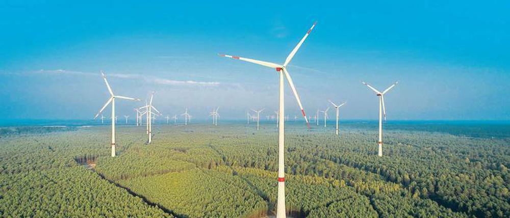 Ein großes Rad. Durch die neuen Ausschreibungen haben es vor allem kleine Betreiber von Windparks schwer. Sie könnten vom Markt verschwinden.