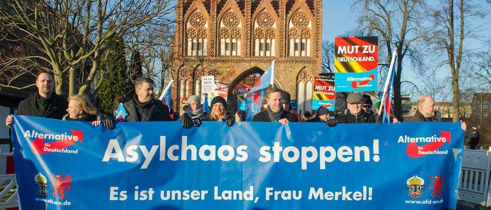 Teilnehmer einer AfD-Demonstration in Brandenburg.