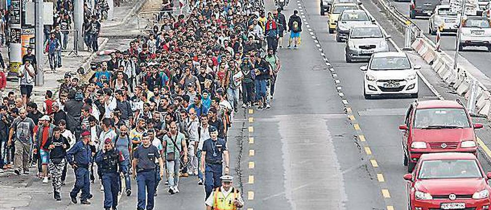 Tausende Menschen gehen über die Autobahn zur österreichischen Grenze.