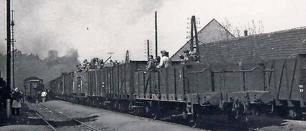 Vorm Tod bewahrt. Den Tschechen gelingt es, mehr und mehr KZ-Häftlinge aus dem Zug zu befreien.